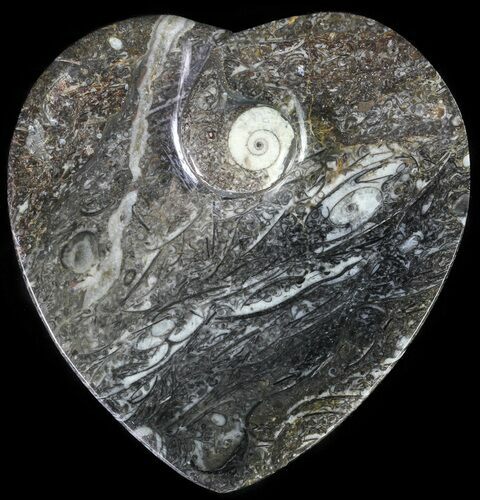 Heart Shaped Fossil Goniatite Dish #61260